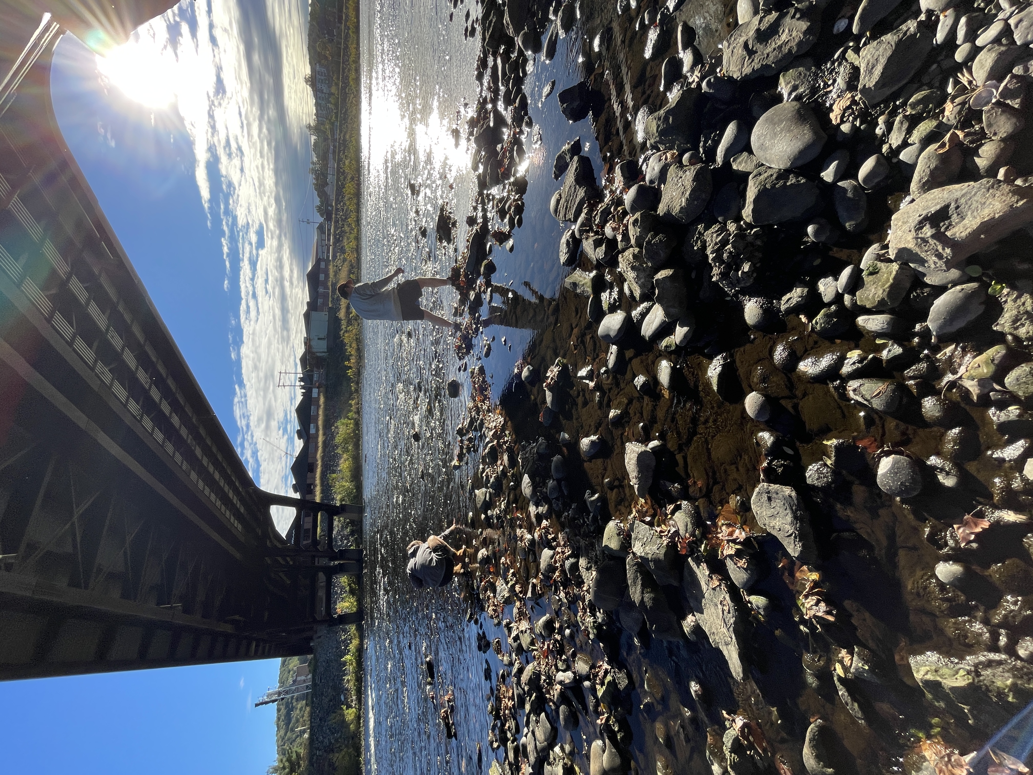 Collecting samples at river
